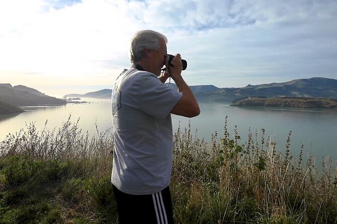 1/2-day Christchurch Scenic Highlights (Private Tour) - The private vehicle and guide experience