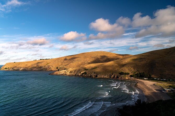 1/2-day Christchurch Scenic Highlights (Private Tour) - Starting at the Sign of the Takahe