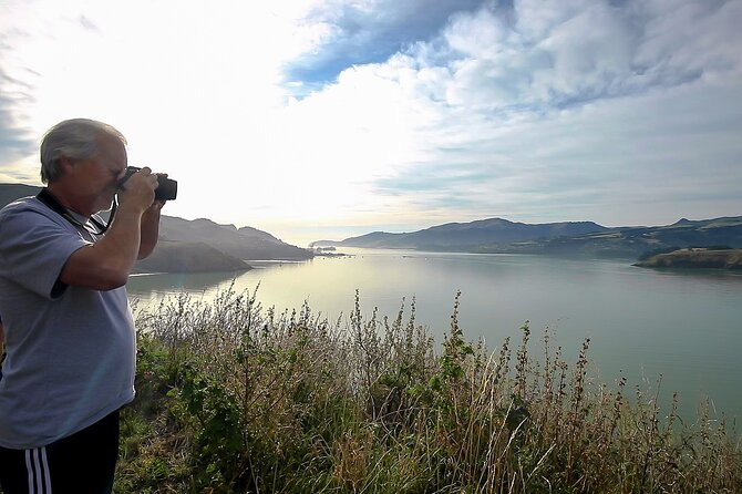 1/2-day Christchurch Scenic Highlights (Small Group Tour) - Sign of the Bellbird and the Canterbury Plains