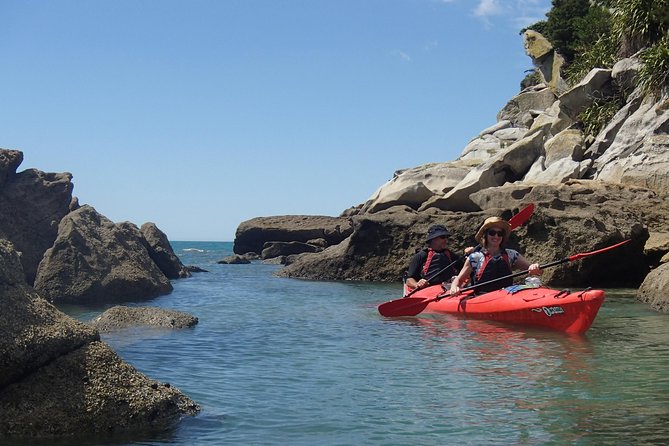 1 Day Sea Kayak Rental - Why This Marahau Kayak Rental Is Worth Your Day