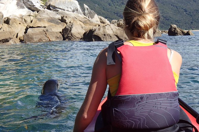 1 Day Sea Kayak Rental - Beaches, Picnic Stops, and Swimming