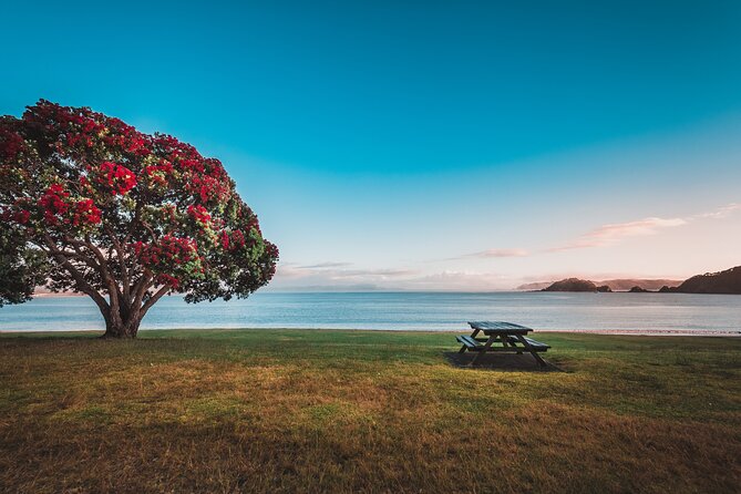 1 Hour Scenic Bay of Islands Tour - A small group makes the short schedule practical