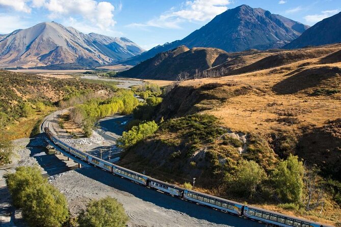 10 Day North to South Island NZ Private Tour from Auckland - Day 2: Hobbiton, Rotorua’s redwoods, and Eat Street