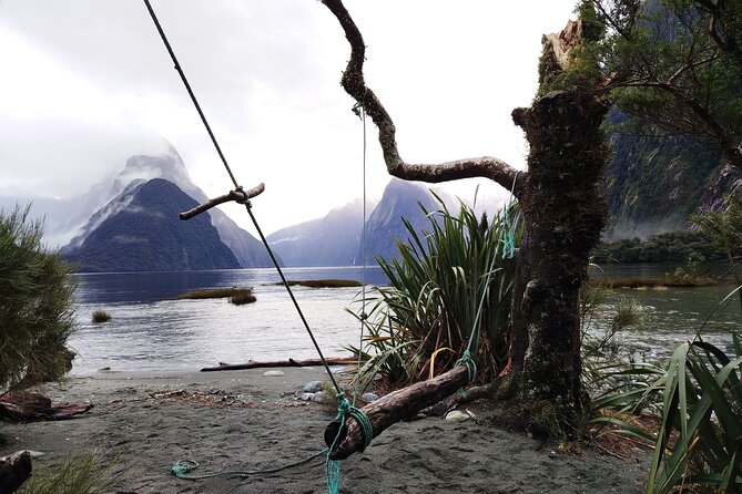 12 Day New Zealand Private Tour from Auckland to Queenstown - Days 1 and 2: Auckland, Hobbiton, and Rotorua