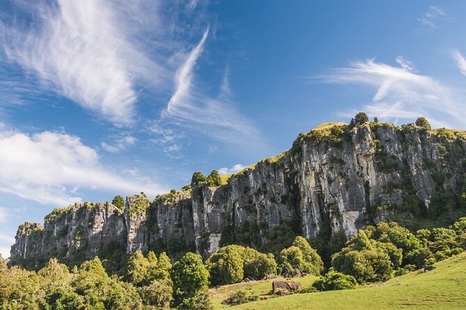 12-Hour LOTR Trollshaws & Waitomo Glowworm Tour - Key points to know before booking