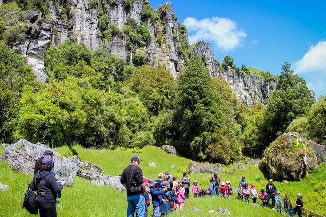 12-Hour LOTR Trollshaws & Waitomo Glowworm Tour - Why this makes a strong Auckland day trip