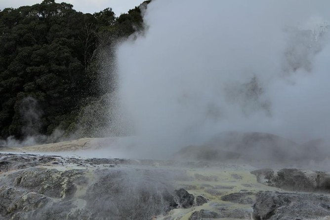 2-Day Hobbiton, Rotorua, Waitomo Caves Tour from Auckland with Accommodation - The $930.24 price and what it covers