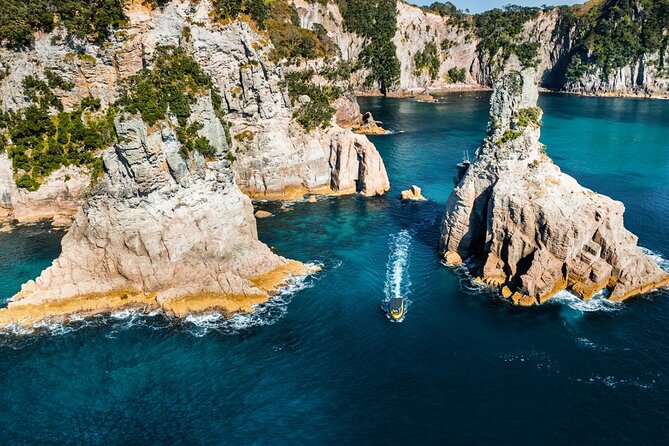 2 Hour Cathedral Cove and Volcanic Coast Cruise with Shade Canopy - Cooks Beach and the Blow Hole