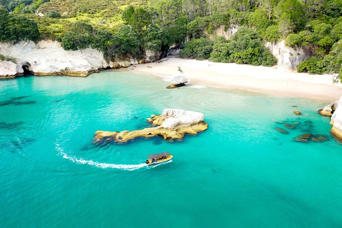 2 Hour Cathedral Cove and Volcanic Coast Cruise with Shade Canopy - Hot Water Beach and Orua Sea Cave