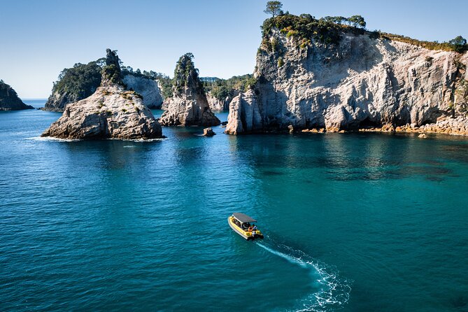 2 Hour Cathedral Cove and Volcanic Coast Cruise with Shade Canopy - Marine Life, Stories, and the Guides