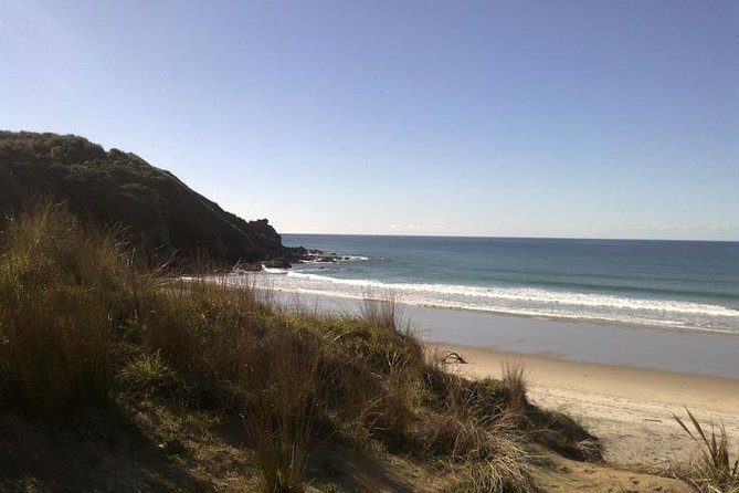 2 Hour Surf Lesson - Te Arai Beach - Why Te Arai Beach works for a surf lesson