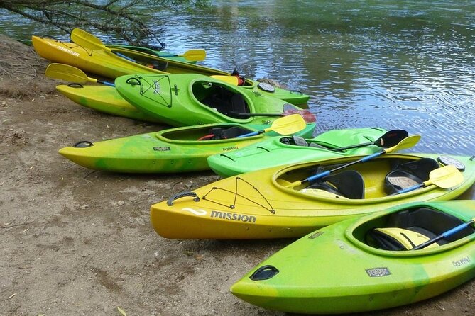 2-Hour Waikato River Guided Kayak Trip from Taupo - The Spa Park hot-water stop