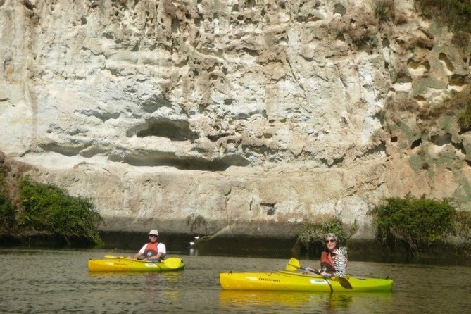 2-Hour Waikato River Guided Kayak Trip from Taupo - Is $55.85 good value?