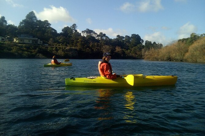 2-Hour Waikato River Guided Kayak Trip from Taupo - Who will enjoy this kayak trip most?