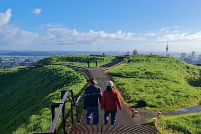 2025 Award Winning: Auckland City Highlights Half Day Tour
