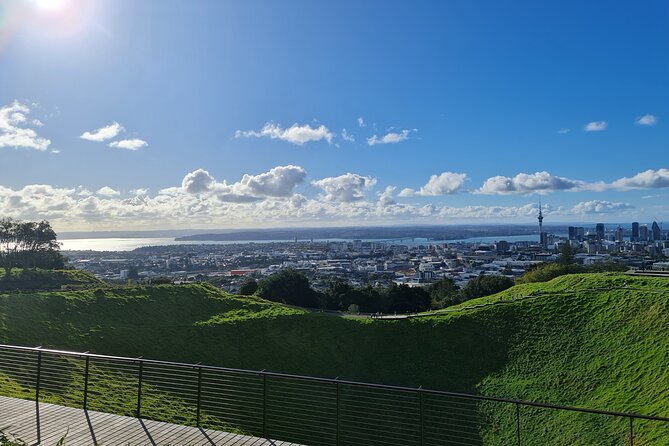 2025 Award Winning: Auckland City Highlights Half Day Tour - Auckland Domain Wintergardens: a quieter change of pace