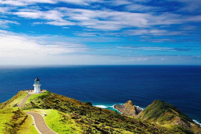 3-Day Bay of Islands Tour from Auckland - Two nights in Paihia: why the overnight stay helps