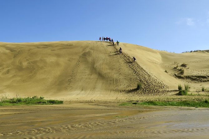 3 Day Bay Of Islands Tour from Auckland including Waitangi and Cape Reinga - Should you book the Bay of Islands tour?