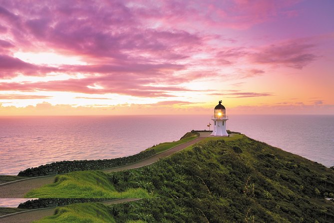 3 Day Bay Of Islands Tour from Auckland including Waitangi and Cape Reinga - Day 1: Auckland to Paihia and the Waitangi Treaty Grounds