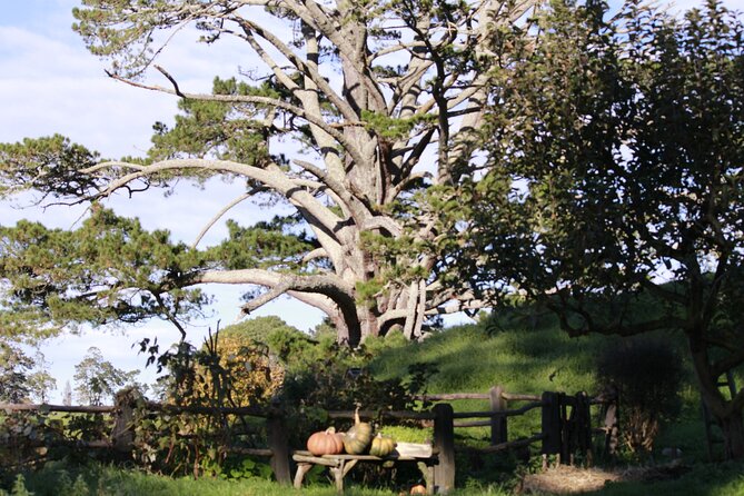 3 Day Hobbiton Rotorua Waiotapu Taupo and Waitomo Caves Tour - Why this three-day route works