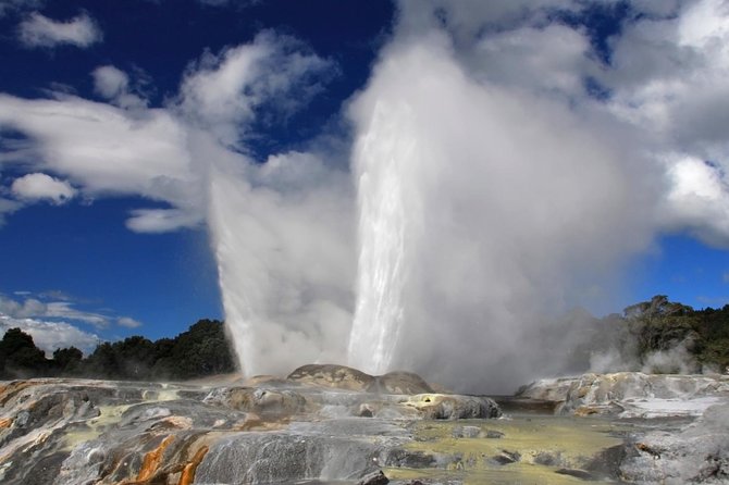 4-Day Auckland to Wellington via Rotorua Tour - Day 4: A short Wellington finish