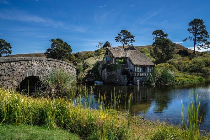 4-Day Auckland to Wellington via Rotorua Tour - Different operators mean different styles each day