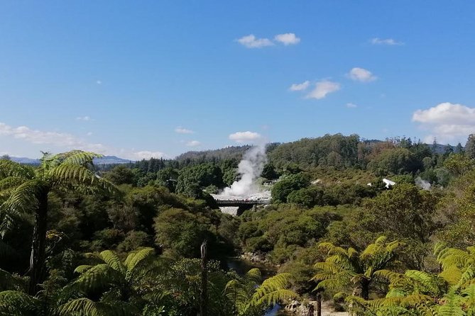 4-Day Auckland to Wellington via Rotorua Tour - Day 1: Glowworms, Hobbit holes, and a late Rotorua arrival