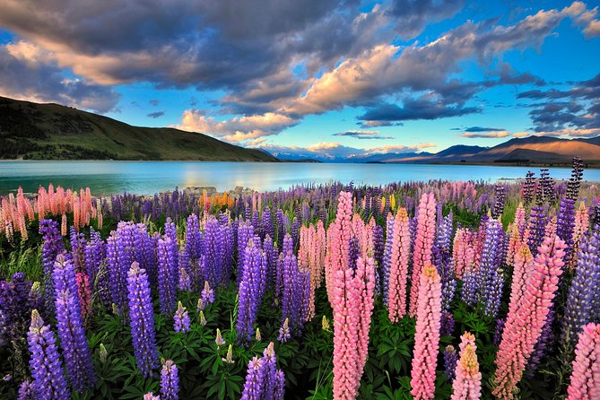 4-Day Great Southern Island Circle Tour from Christchurch - Key points to know before booking
