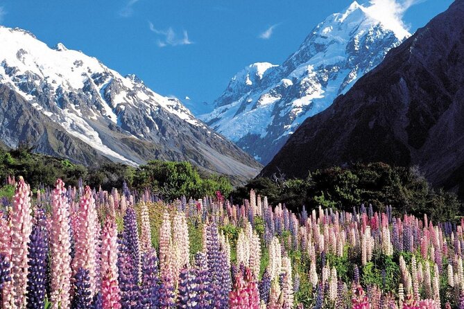 4-Day Great Southern Island Circle Tour from Christchurch - Queenstown gives you a useful two-night base