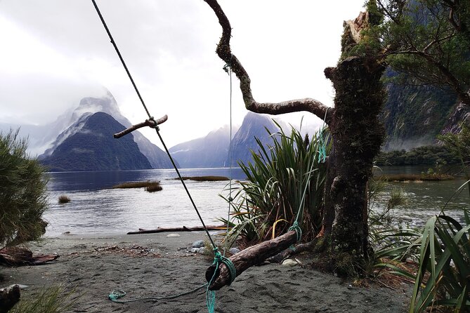 4 Day Tour to Milford Sound, Mount Cook & More from Auckland - Lake Tekapo and the Aoraki Mackenzie night sky