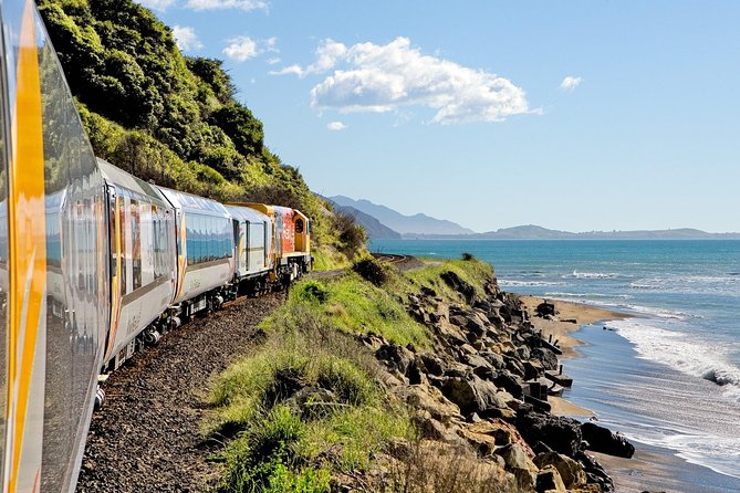 5-Day New Zealand North and South Island Highlights Tour - Day 5: Kaikoura whales and the road to Christchurch