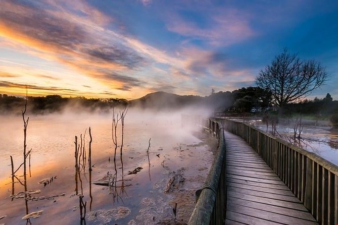 6.5 hour Small-Group Rotorua Naturally Shore Excursion - Tauranga - Key points at a glance