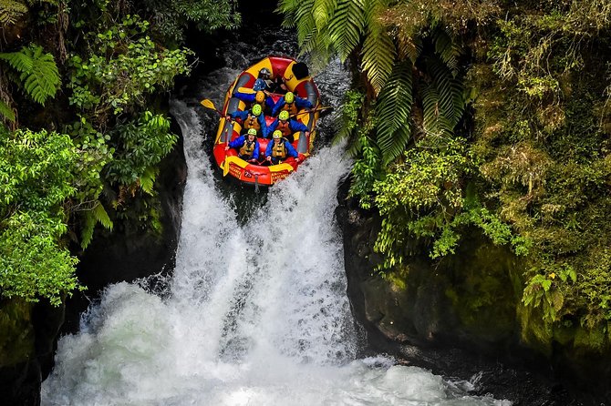 6.5 hour Small-Group Rotorua Naturally Shore Excursion - Tauranga - The Redwoods Treewalk: the day’s strongest attraction