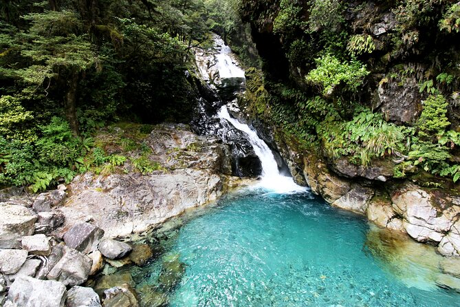 6 Day South Island New Zealand Private Tour from Christchurch - Comfort, group size, and what to pack