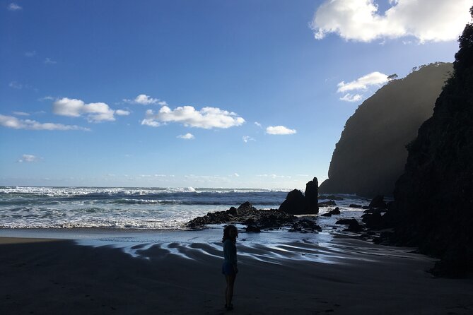 6 Hours Sightseeing Tour in Auckland - Wine tasting is a pleasant finish, with one catch