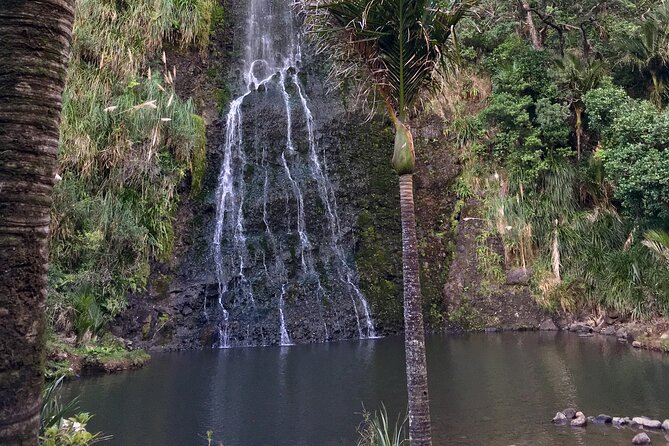 6 Hours Sightseeing Tour in Auckland - The guides shape the experience