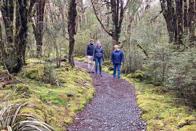 7-Day South Island Coastal Splendor Tour from Christchurch - Why this route works for a first South Island visit