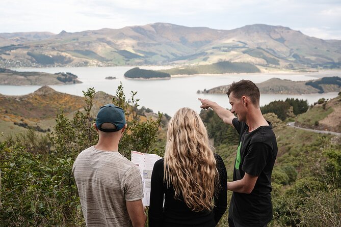 8 Day Southern Crossing Small Group Tour - Day 8: Lake Tekapo and the Good Shepherd church