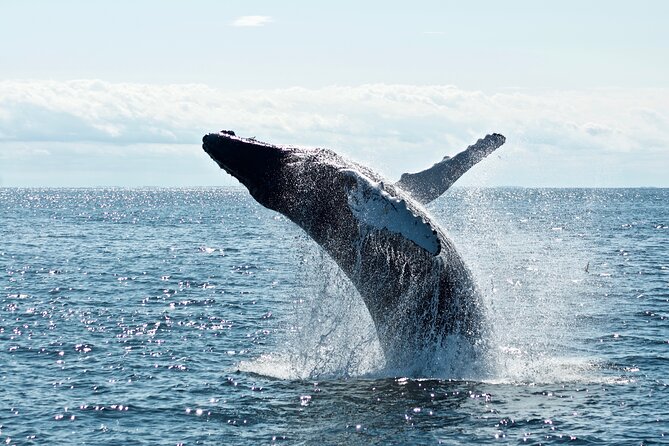 8 Day Southern Secrets Small Group Tour - Nelson Lakes and a quiet forest stop