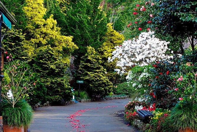 A Day Trip in Auckland City - Who will enjoy this Auckland day trip most
