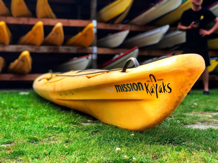 Abel Tasman Kayaks: 1 Day Freedom Kayak Rental - What Makes This Kayak Day Worth Considering