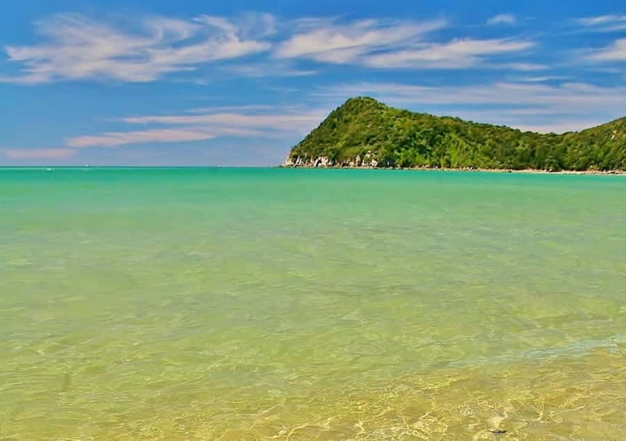 Abel Tasman National Full Park Scenic Cruise - Tonga Quarry, Awaroa, and Totaranui