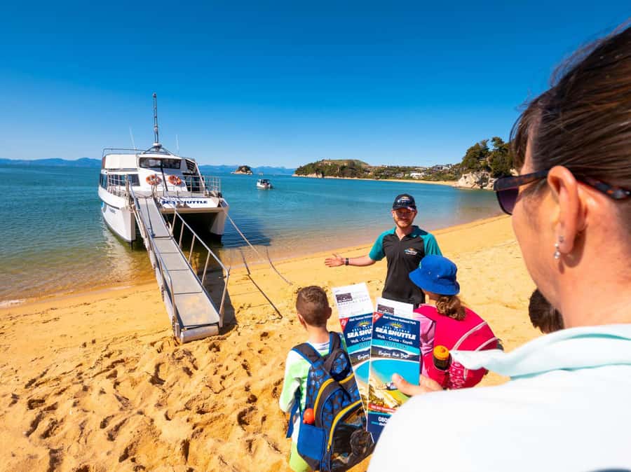 Abel Tasman National Full Park Scenic Cruise - Fur seals and other possible wildlife
