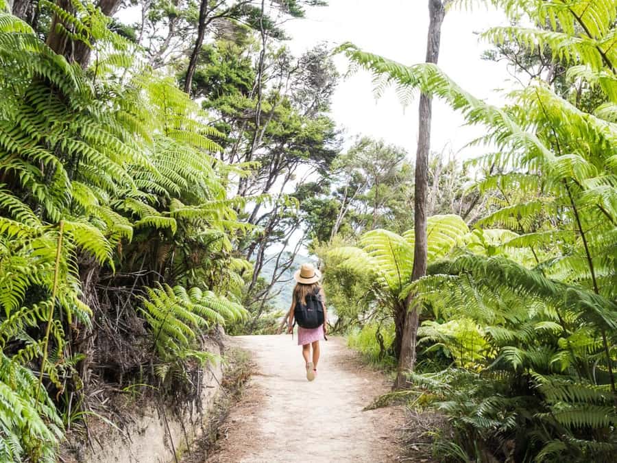 Abel Tasman National Park: Cruise and Hike Full-Day Tour - Picnic lunch, swimming, and time to slow down