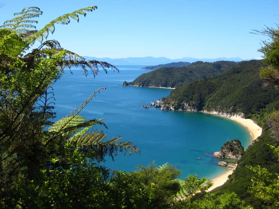 Abel Tasman National Park: Cruise and Hike Full-Day Tour - Is $358 per person good value?