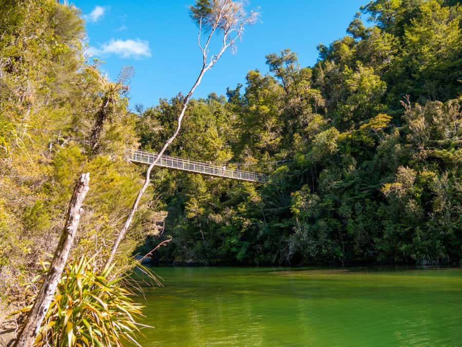 Abel Tasman National Park: Cruise and Hike Full-Day Tour - Practical advice for making the day comfortable