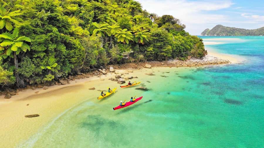 Abel Tasman National Park: Cruise, Kayak, & Hike Tour - Why This Tour Works So Well in Abel Tasman