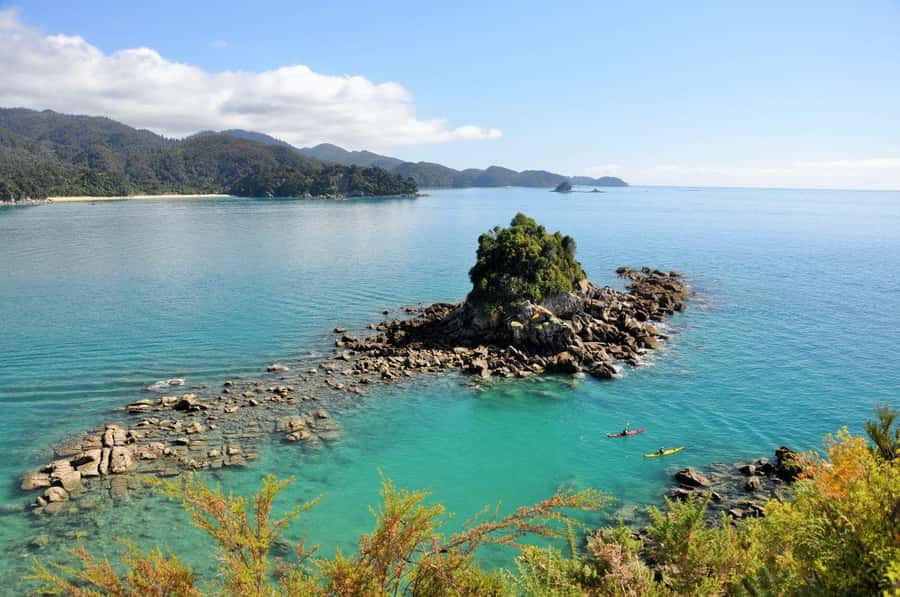 Abel Tasman National Park: Cruise, Kayak, & Hike Tour - Adele Island, Seals, and Birdsong