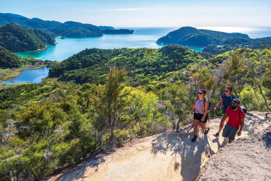 Abel Tasman National Park: Cruise, Kayak, & Hike Tour - The Return Cruise and Nelson Drop-Off