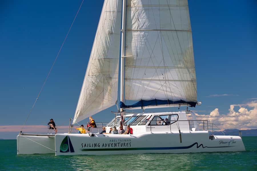 Abel Tasman National Park: Cruise, Walk & Sailing Tour - Wildlife Along the Coast